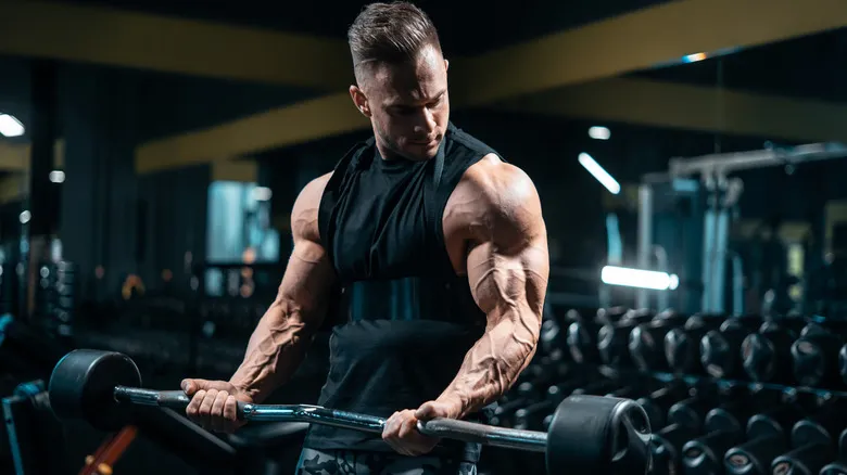 Physical Fitness Exercises for Muscle Building